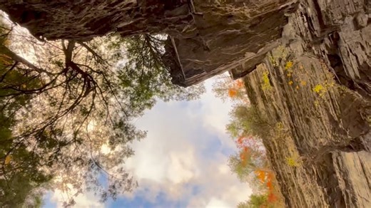 Robert H Treman State Park NY #scenic #falls #autumn #usa | Angelo Garcia