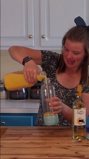 Homemade Mimosas! 😍| Drinkmate Carbonated Water Maker