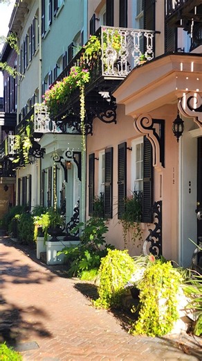 Just a lovely dose of Savannah, Georgia to brighten your day 💜 | The Savannah Lady