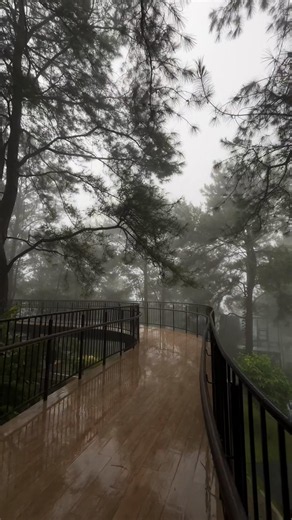 Baguio weather today: Foggy mt camisong forest park tips