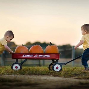 8.9K views · 53 reactions | Happy Fall Festival! The gift shop, pumpkin patch and fall festival are open daily from 11- 7 until October 28 then 11-5. See you there! | Nickajack Farms | Facebook