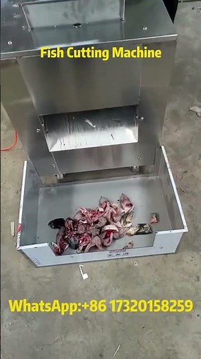 🐟 Automatic Fish Cutting Machine | Fast & Precise Fish Slicer Demo#fish #cutter #foodprocessing