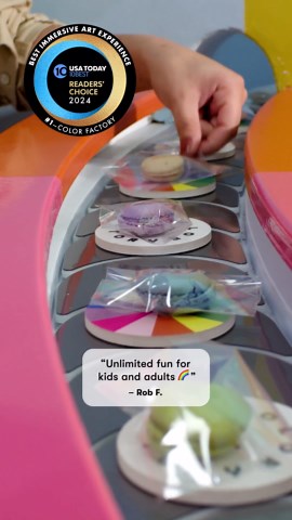 Color Factory on TikTok