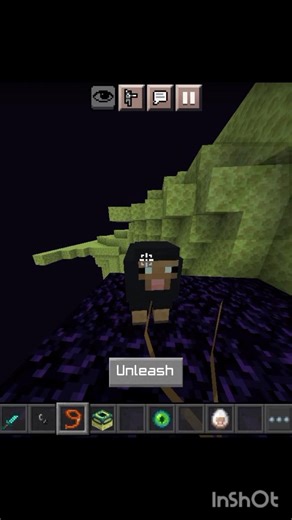 I Found a Glitch in Minecraft That No One Can Explain...