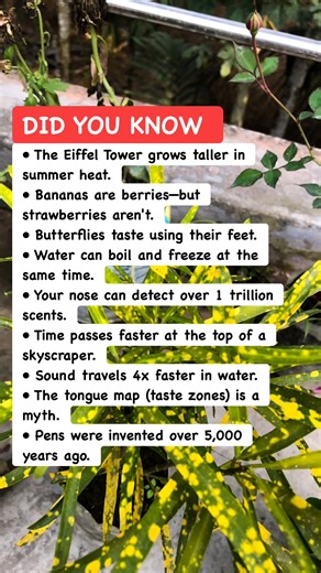 🔥 Facts Teachers Never Told You #schoolfacts #learningeveryday #factfile | Learners