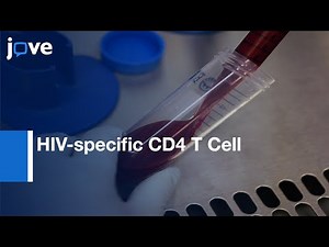 HIV-specific CD4 T Cell Effector Function Evaluation | Protocol Preview