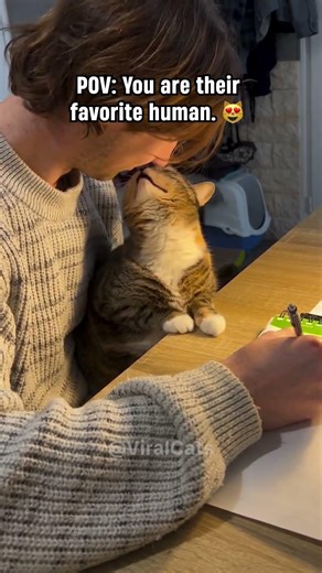 Cats with Their Owners 😻
