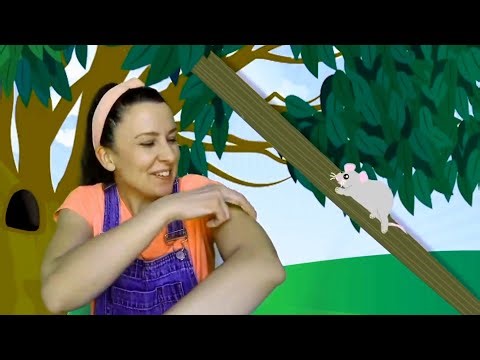 MS RACHEL Said: The Mouse 🐁 Quickly Move Into His House