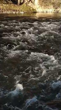 🍂 The Sound of Autumn Flowing 🌊 | Relax & Unwind