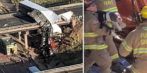 Dog lone survivor of horrific rollover crash that killed truck driver, other dog