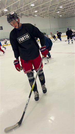 Chaos stickhandling #hockey #hockeydrills | Fortis Academy