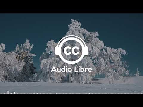 Musique Libre de Droits Calme Nature Gratuite pour Vidéo de Voyage et Vlogs | Bloome - Wondering