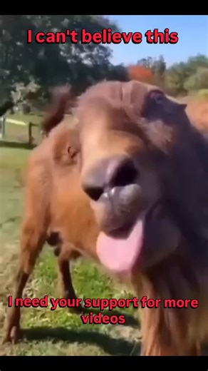 Arindam Naskar on Instagram: "#_I can't believe this so funny 🤣🤣🤣🤣_#_AD"