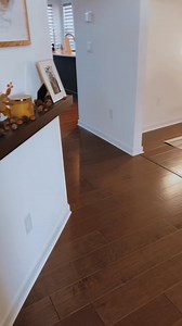 169K views · 4.8K reactions | The amount of sass this girl has #babyfever#baby#babies#cutebaby#dadsoftiktok#MomsofTikTok#parenthood#family#toddler#toddlersoftiktok#toddlers | DVD VAN | Facebook