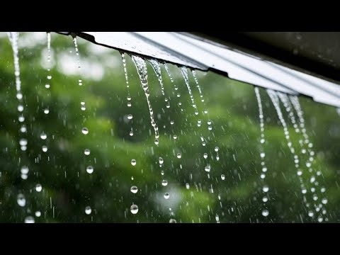 Gentle Dripping Rain from Roof Soothing Water Droplets & Rain Sounds for Relaxation