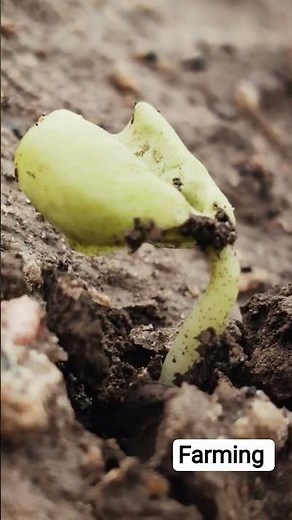 🌱 Farming Tips for Beginners | Complete Agriculture Guide 2026#Farming#Agriculture#Samarthan