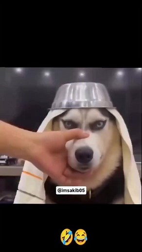 Infinite Shampoo Prank Caught on Camera