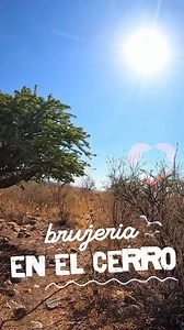 44K views · 545 reactions | brujería y magia negra #Aguascalientes #YoAmoAguascalientes | Yo Amo Aguascalientes | Facebook