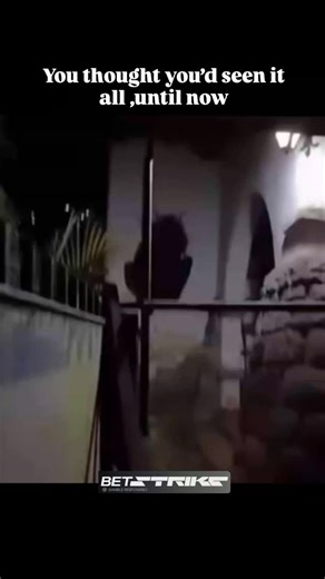 icaptured on Instagram: "This isn’t just any moth. This is the **LARGEST LIVING MOTH** ever recorded — spotted clinging to a pole in the dead of night in Kansas City. Its wings? Massive. Its eyes? Glowing. Its presence? Utterly terrifying. Residents are reporting sleepless nights, broken fences, and a sudden fear of porch lights. No one knows where it came from… or where it’s going next. #moth #scary #kansascity #creepy #nightmarefuel #viralvideo #fyp #foryou #horror #weird #strange #animals #ur