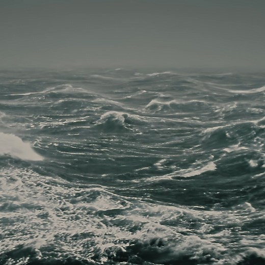 Deep sea trawling scrapes the ocean floor, indiscriminately destroying and catching nearly everything in its path. Marine Protected Areas create safe havens for habitats and marine life to thrive again. That’s sustainability. Learn more about how to support Canada’s Marine Protected Areas. | CPAWS · SNAP Canada