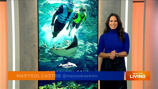 Discovery Cove - Overview