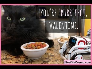 FREE COZMO VALENTINE'S DAY CARDS!