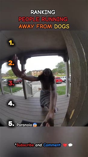 Ranking People Running Away from Dogs 🐕😂 | Funniest Scary Dog Moments #shorts