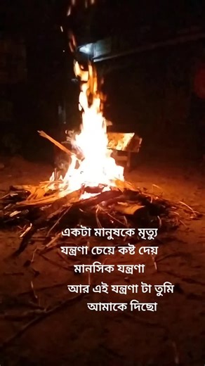 Captivating Bonfire Night: A Mesmerizing Fire Display