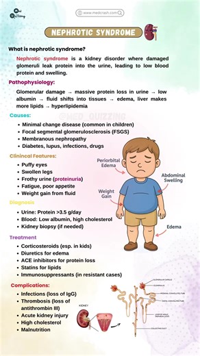 Unlock Medical Mnemonics: Flashbook & Flashcards