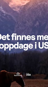 604 reactions · 8 comments | Skyscanner on Reels | Facebook