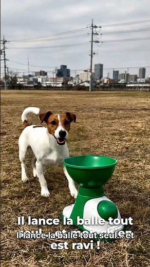 Mon chien ne s’arrête jamais… jusqu’à ce jouet ! 😂🐶Le jouet ultime