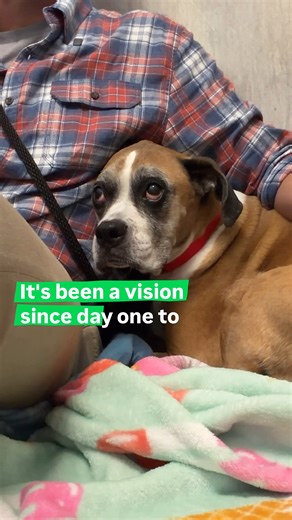 Her Mom Passed, Singing Christmas Songs to Comfort Her 🥹🎄 #adoptdontshop #Christmas | Rocky Kanaka