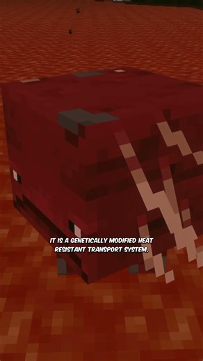 The Saddest Mob in Minecraft... 🌋