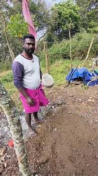 எல்லோரும் தெரிஞ்சிக்க வேண்டியது | அவரை விதை நடவு #pottidayikadammosong #food