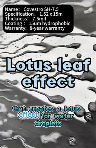 What is hydrophobicity? #ppfprotection#PPF#hydrophobic