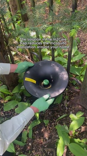 The Mosquito Trap We Stand By As Pest Professionals