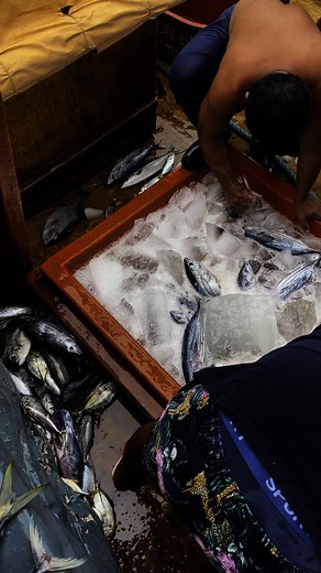 pagyeyelo ng sda o tawagin pag vaccum ni tjboy Para nd magbago ang ganda ng sda .. #hashtagfbreelsvideo | boss Dtv