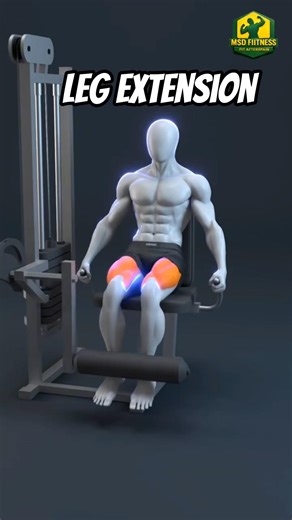 Perfect Leg Extension 🔥 | Build Strong Quads 💪 | ‪@msdfiitness‬