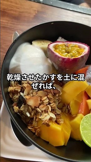 コーヒーかすの意外な再利用方法