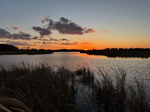 How Ducks Unlimited Became Heroes of the Conservation Movement - Great Lakes Now