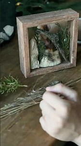 DIY Nature Shadow Box Art Under $10 Tutorial