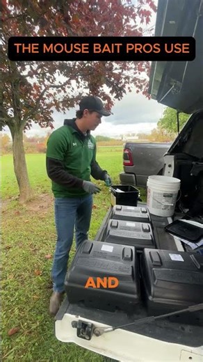 What is the best bait for mice? #shorts