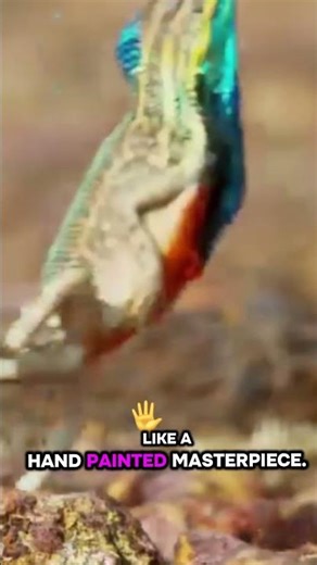 This Lizard Runs on TWO Legs! 😱🦎 (Incredible Colors)