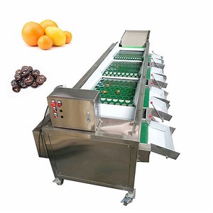 [Hot Item] Commercial Onion Dates Sorting Machine Apple Lemon Grading Machine Potato Size Sorter
