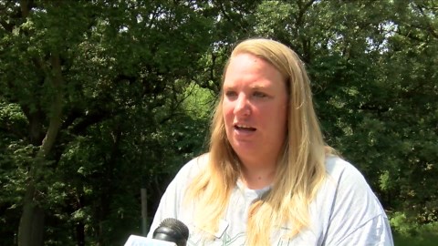 Tick Bites On The Rise