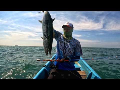 The Attraction of This One Fish Makes the Reel Scream!