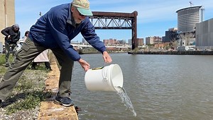 Cuyahoga River seeing better days, celebrates inaugural steelhead stocking