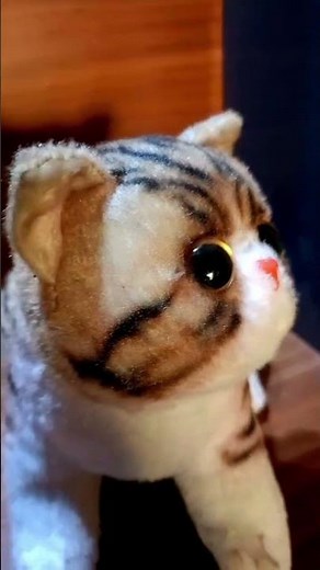 Cute Cat Doll 🐱 So Soft and Adorable!#catdoll#toyreview#shorts #minireview #beautyreview #browns