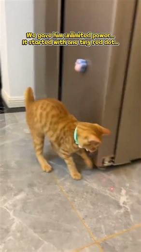 We Gave Him Unlimited Power… 🐱🔴