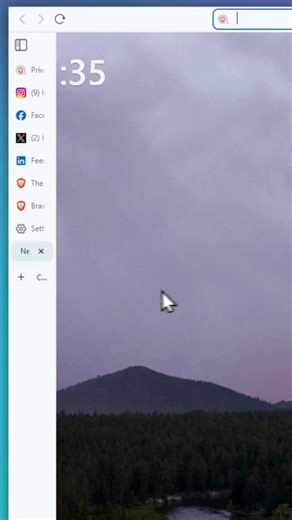 25K views · 374 reactions | You can now hide vertical tabs completely when they're not in use. Now you see them, now you don't! ✨ Enable this setting and free up some screen space by going to Settings -> Appearance. | Brave Software | Facebook